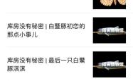 游戏行业报告，解锁数字娱乐的秘密钥匙
