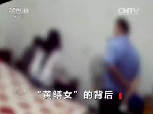 黄鳝门主播,网络直播的新奇现象与社会影响 黄鳝门主播,网络直播的新奇现象与社会影响