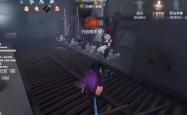 第五人格深度解析，许愿码的神秘魅力与获取攻略