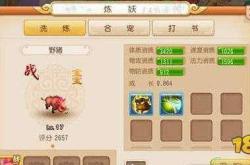 梦幻西游宠物培养深度解析，宝宝打书的艺术