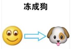 强冷空气已到货，寒冷预警，冷冷冷！