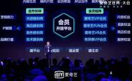电竞世界中的VIP特权，爱奇艺VIP会员共享的深度解析