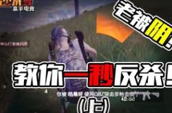 麻辣复仇，电竞高手的逆袭之路