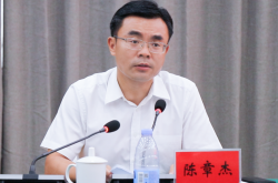 落马县委书记为何被点名超生二胎？