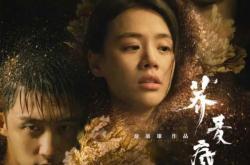 揭秘，八戒八戒电影资源网——你的私人电影院