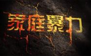 当孩子目睹，家暴下的绝望与勇敢的小小守护者