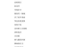 霸气网络游戏