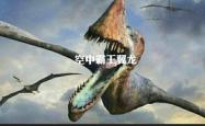 火刺眼蜥蜴，沙漠中的神秘生物及其生存智慧