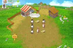 QQ农场金土地，虚拟与现实交织的绿色财富秘境