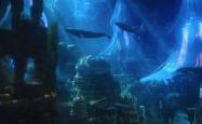 珊海王的圆环，揭秘深海生物的奇妙世界