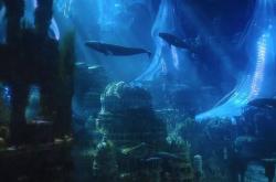 珊海王的圆环，揭秘深海生物的奇妙世界