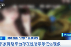 深度解读，第三批主播黑名单的背后——网络直播的新规与反思