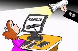女子偷盗后问DeepSeek如何免责，法律与道德之间的思考