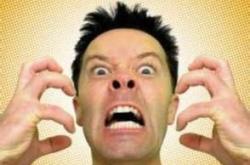 愤怒的蜜蜂，理解与应对愤怒情绪的艺术