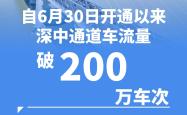 龙腾华夏，历史的脉动与现代的飞跃