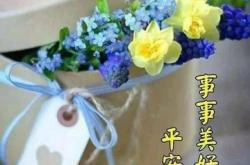 小团团照片，记录生活，传递情感的温馨纽带