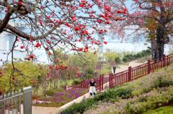 海棠文学城，文字的花园，心灵的港湾