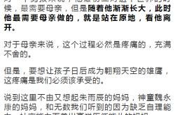 告别与新生，理解这次是我真的决定离开背后的情感与决策