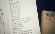慢慢喜欢你，歌词中的情感深度与生活哲学