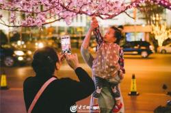 花季V302，青春的绽放与挑战