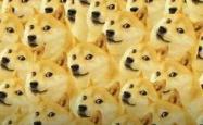 柴犬币购买指南，开启你的数字货币之旅