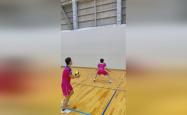 排球小游戏，跳跃的乐趣与团队精神的火花