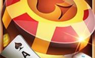 霹雳酷乐猫，萌宠界的新星，家庭娱乐的新选择