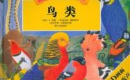 探索自然之声，子规鸟的奥秘