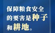 祖安人，网络文化中的硬核代表