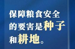 祖安人，网络文化中的硬核代表