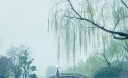 尘缘烟雨江南，探秘江南水乡的诗意与生活