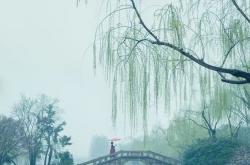 尘缘烟雨江南，探秘江南水乡的诗意与生活