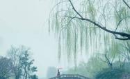 尘缘烟雨江南，探秘水乡的诗意与传说