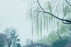 尘缘烟雨江南，探秘水乡的诗意与传说