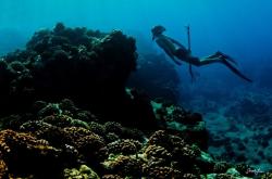 深海大冒险，揭秘海洋深处的未知世界