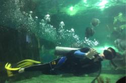 探索深海奥秘，潜水艇游戏的奇妙世界