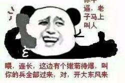 金馆长熊猫，网络文化中的幽默大使