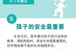 警惕！绘声绘影破解版的陷阱，版权意识与网络安全的重要性
