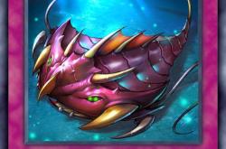 探索游戏王中文网，卡牌游戏爱好者的乐园