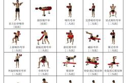 体育锻炼有哪些方法和技巧