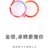 智联卓聘使用全攻略：高效求职技巧与中高端职位精准匹配指南