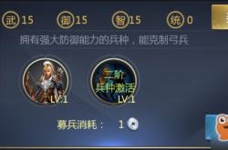 三国群英志新手攻略：从入门到精通，轻松掌握武将培养与战斗技巧