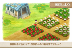 Dung的奇妙世界：从农场记忆到肥料利用，轻松掌握自然循环的快乐秘诀