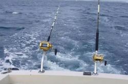 钓鱼1 375鱼竿全方位评测：轻便耐用，助你轻松钓获大鱼，告别钓鱼疲劳