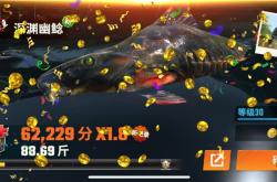 大师级钓鱼：从新手到高手的境界提升与装备技巧全解析