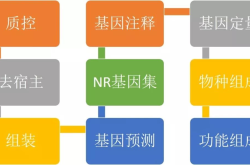 啪嗒砰2财务攻略：高效资源管理与收益最大化指南，轻松省钱通关