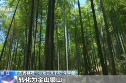 伐竹取道：从竹林迷途到通途的智慧与技巧全解析