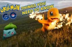 口袋妖怪3D：沉浸式体验与创新玩法，带你重温经典IP的魔法世界