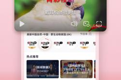 央视频app下载安装全攻略：海量正版免费看，4K超清无广告