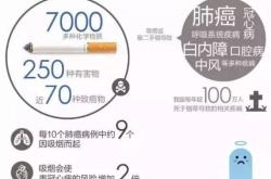 伤害世界新手到高手生存指南：轻松掌握核心技巧，告别死亡焦虑，享受末日冒险乐趣